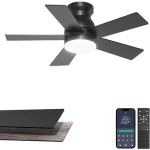 32'' Small Ceiling Fan with Light, Mini Low Profile Flush Mount Fan for Hallway & Closet, Quiet DC Motor, Modern Tiny Space Ceiling Fan with App/Remote Control, Black
