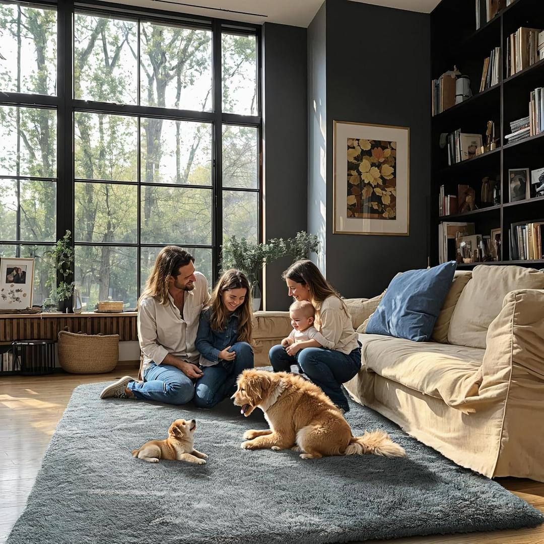 Ultra Soft Rug for Living Room, 3x5 Feet Grey Shag Area Rugs for Living Room, Modern Shaggy Carpets for Teens Dorm Nursery Home, Non Slip Indoor Rugs Floor Carpet(3 x 5, Light Grey)