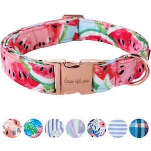 Unique Style Paws Dog Collar Metal Buckle Watermelon Cute Collar for Small Medium Large Boys Girls Dogs