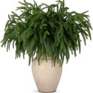 12 Pcs Artificial Norfolk Pine Christmas Branches, 17.8 Inch Ultra Realistic Faux Evergreen Picks for Christmas Garland Wreath Making, Home Decor & DIY Crafts