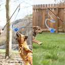 Flirt Pole for Dogs, Durable Dog Flirt Pole for Large Medium & Small Dogs, Interactive Dog Pole Toy with Rubber Ball for Outdoor/Indoor, Training, Chase, Tug of War (24 & 31 inch) (24.4in and 31.1in)