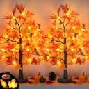 24 Inch Fall Maple Tree Fall Thanksgiving Decorations with Lights Lighted Artificial Tree with Pumpkin Acorn Maple Thanksgiving Table Decoration Centerpieces Indoor Friendsgiving Decor for Home