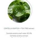 The Plant Base AC Clear CICA Toner 195ml | CICA Facial Soothing Cooling Toner | Centella asiatica Leaf 85% | Plant-Based | Oily Skin, Trouble Skin Care, Korean Skincare, K Beauty, Korean Beauty