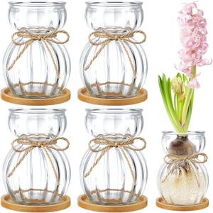LemonRoad 4 Pcs Bulb Glass Vases for Flowers Forcing Hyacinth Avocado Clear Decorative Bulb Vase with Round Bamboo Coaster for Women Gardening Lovers Home Office Plant Table Decoration
