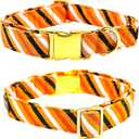 Elegant Little Tail Halloween Dog Collar - Orange Stripe Pet Collar With Flower for Small Dogs - Soft Durable Holiday Accessory (Small (Pack of 1))