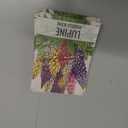 4 x Seed Needs Lupine Seeds to Plant Russels Mix Perennial Flowers 1 Pack