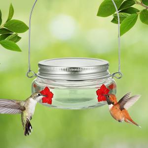 250ML Hummingbird Feeder for Outdoors - Durable Mason Jar Glass Humming Bird Feeder with 8 Perforated Flower Nozzles, Wide Top Opening for Easy Filling & Cleaning