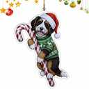 Bernedoodle Christmas Ornament | Bernedoodle Hugging Candy Cane Ornament 2D Flat Acrylic Ornament | Christmas Tree Decoration, Gifts for Dog Lovers 2025