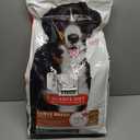 Hill's Science Diet Large Breed Adult Dry Dog Food 1-5, Quality Protein for Joint Support & Lean Muscles, Lamb & Brown Rice Recipe, 33 lb. Bag
