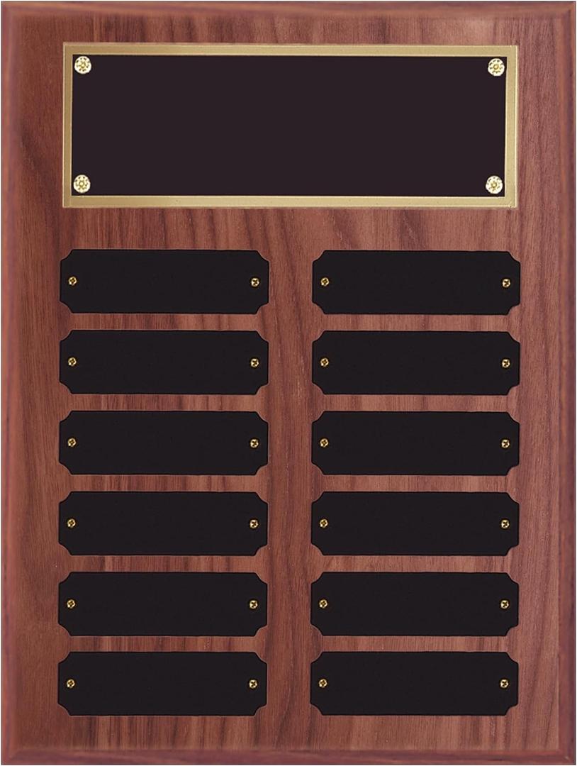 SHOP AWARDS AND GIFTS Perpetual Plaque Award Multiple Name Plate Holder Board (9 x 12 Inch)