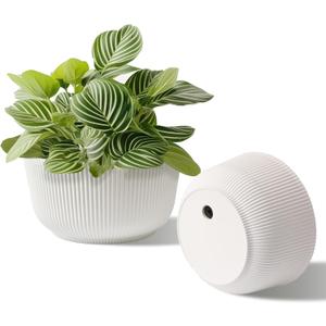 T4U 10 Inch Self Watering Pots for Indoor Plants, 2 Pack Large Plant Pots, Self Watering Planter for Indoor Plants, Durable Plastic Pots (2 Pack,10", White)