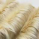 Bianna Caramel Latte Cream Faux Fur Fabric, by The Yard, American Seller, Luxury Shag Shaggy Material for Crafting, Sewing, Costumes, Fursuits, Home Decor (10x60 inches) (10x60 inches)
