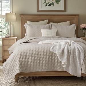 Bedsure Quilts Queen Size - Ultra Soft Queen Quilt Bedding for Modern Farmhouse Bedroom Decor, Lightweight All-Season Comforter, Natural Bedspread Coverlet 90x96 Inch (07 - Linen - Clover)