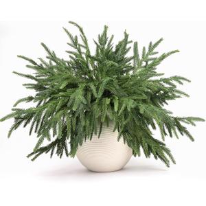 Norfolk Pine Stems, 12 Pcs 18" Real Touch Artificial Pine Branches, Tabletop Droopy Greenery Stems, Faux Cedar Picks for Vase, Garland Accessories, Holiday Winter Decor for Home Indoor, FF08