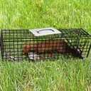 Qualirey 2 Pack Live Animal Trap Cage 17 x 7.09 x 8.27 Inch Cat Trap Cage, Foldable Steel Humane Catch and Release Animal for Groundhog Squirrel Raccoon Mole Gopher (Black)