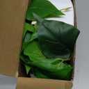 Der Rose 2Pcs Small Fake Plants Artificial Mini Faux Plants for Bathroom Office Desk Shelf Table Accessories Decor Indoor (White)