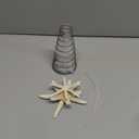 Demissle Natural Starfish Tree Topper Beach Christmas Tree Topper 6 Inch Starfish Treetop Decoration Coastal Christmas Holiday Decoration for Sea Beach Themed Xmas Home Decor