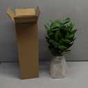 16" Artificial Eucalyptus Stems Potted Plant Indoor Fake Plants - Realistic Greenery with Vase, Small Artificial Office Desk Plants in Pots for Home Decor Weddings Centerpieces