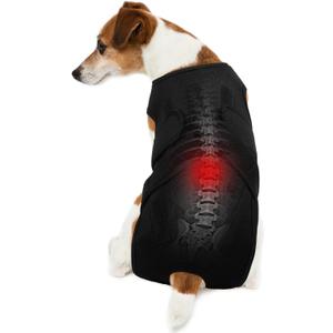 Back Brace for Dogs,Pet Back Support Vest for IVDD,Breathable Comfortable Spinal Surgical Recovery and Pain Relief Suit,Prevent Dog Back Disease,Black 2XL (XX-Large)