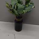 Der Rose 13.5" Fake Plants for Black Bathroom Decor Artificial Eucalyptus Stems in Black Glass Vase with Faux Water for Office Desk Accessories Farmhouse Home Table Centerpiece DecorSage Green