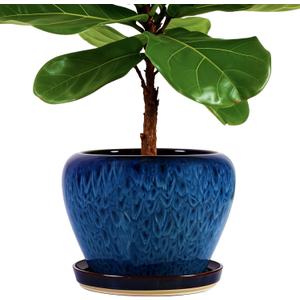 MAGP 10 Inch Large Plant Pots with Drainage Hole and Saucer, Large Ceramic Decorative Flower Pot for Plants Indoor Outdoor Planter, Round Blue