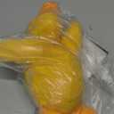 Best Pet Supplies Interactive Squeaky Dog Chew Toy, Ideal Dog Toys for Chewers, Small, Medium & Large Dogs, and Fetch Lovers - Ducky Doodle (Yellow), Large