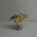 Silk Rose Flowers in Vase, Artificial Flowers Arrangement with Glass Vase Faux Hydrangea Rose for Decoration Table Centerpiece (Hydrangea Rose)
