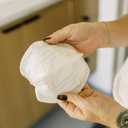 Dr. Brown's Disposable One-Use Absorbent Breast Pads for Breastfeeding and Leaking - 60pk - Packaging May Vary