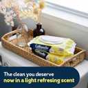 Cottonelle Summer Fresh Scented Flushable Wipes, 8 Flip-Top Packs, 42 Wet Wipes per Pack