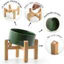 Petygooing Raised/Elevated 15Slanted Ceramic Dog Bowl for Small Breeds,Tilted Anti Slip Pet Feeding Bowl,Food Water Dish with Stand for Cats and Small Dogs Puppy 13.5 OZ (5.1In / 1.7 Cups)Rust Green