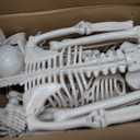 Abakuku 2 Pack 36" Halloween Skeleton Decorations,Human Bones for Halloween Party with Movable Joints,for Haunted Houses, Front Lawn, Graveyard Props, 2pcs-36inch