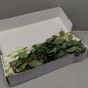 Real Touch White Faux Hydrangea And Eucalyptus Arrangement, Faux Floral Arrangements, Hyper Realistic Artificial Flowers, White Centerpieces For Kitchen Dining Coffee Table Decor, 5 Heads + Greenery