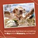 Heartland Whole Elk Antlers for Dogs (45, 2-Pack)  Long-Lasting, Odorless Dental Chews for Small Breed Aggressive Chewers  USA Sourced, Natural Antler Bones to Reduce Tartar & Curb Boredom