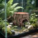 Reptile Hide Cave, Reptile Hideout with Detachable Base and Humidity Dish, 3 in 1 Lizard Snake Hiding Place Tank Terrarium Decor for Gecko, Crabs, Amphibian, Turtle
