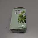 LePe Crushed Fire Glass, Translucent Broken GlassDecorative for Resin Art, Fire Pits, Potted Plants, Garden and Indoor Use, 3-6mm Fire Pit Glass, 1 Pound in Jar(Grey) (Gray)