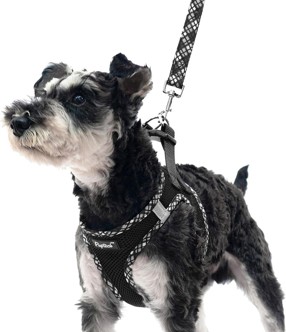 PUPTECK Dog Harness and Leash Set for Small Medium Dogs No Pull Step-in Soft Mesh Puppy Cat Vest Harnesses Reflective at Night, Black M (M(CHEST 16"-18", 11-18 lbs))