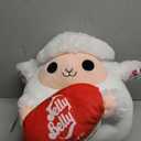 Snackles Series 2 Sloth & Dole 14 Inch Plush by ZURU, Ultra Soft Plush, Collectible Plush with Real Licensed Brands, Stuffed Animal, Giftable