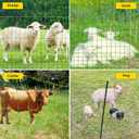 Electric Fence Netting, 164'L x 35.4" H Movable Livestock Nets for Sheep, Hogs, Cattle, PE Net Fencing Kit with 14 Posts Double Spiked, Electric Fencing for Backyards, Homesteaders, Farms Ranches