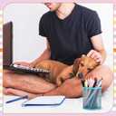 Sayglossy 48 Pcs Dachshund Theme Ballpoint Pens Novelty Gifts 8 Style Smooth Writing Pens for Teacher Student Gifts