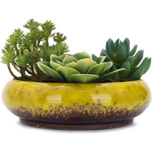 VanEnjoy 7.3 inch Round Large Shallow Succulent Ceramic Glazed Planter Pots with Drainage Hole, Bonsai Pots Garden Decorative Cactus Stand Flower Container (Yellow)