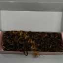 Clip in Hair Extensions, FLUFYMOOZ 4PC 100 Pure Protein Silk Hair Extensions Long Soft Natural Hairpiece 20 Inch Curly Hair Extension for Women (Dark Golden Brown with Highlight)