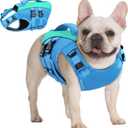 Queenmore XS Dog Life Jacket,Reflective Small Dog Life Vest for Swimming BoatingAdjustable Pet Life Vest for Extra Small Dogs with High Buoyancy,Safety Dog Swimming Vest with Handle(Blue,XS)