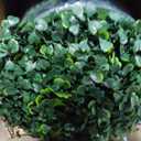 Artificial Ivy Privacy Fence Wall Screen: 5FT X10FT (50 sqft) UV-Anti Faux Boxwood Roll Panels Greenery Backdrop Ivy Vine Leaf Hedges Fence Panels for Indoor Outdoor Green Decor (60 X 120 IN)