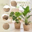 4 Pcs Large Seagrass Planter Basket with Plastic Lining Wicker Planter Basket Weaved Baskets for Plants Laundry Baskets Plant Container Straw Flower Pot for Indoor Outdoor Plants