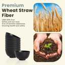 Homienly Wheat Straw Small Bowl Set of 8, Unbreakable Dessert Bowl - 10 OZ, Wheat Straw Mini Bowls for Kitchen, Kids, Microwave and Dishwasher Safe Bowls for Snack, Appetizer, Ice Cream (Black)
