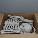 JOYIN 6.9 FT Halloween Posable Life Size Skeleton, Full Body Realistic Skeleton Bones with Movable Joints for Halloween Indoor Outdoor Party Decoration, Spooky Scene Props, Haunted House Decor (White)