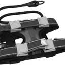 Cesar Millan Pack Leader Collar - Training Collar of The Dog Whisperer (Medium, Grey)