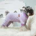 PUPTECK Dog Pajamas for Small Medium Large Sized Dogs, Stretchy Dog Pjs Onesie Clothes Soft Fleece Sweaters Puppy Cat Outfits Pet Jumpsuit (Pink)