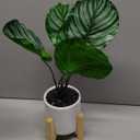 Fake Plants Artificial Tropical Plants Indoor in White Pot for Home Office Desk Accessories Bathroom Sage Green Decor 1 Pack Only 