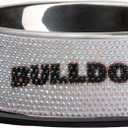 The Memory Company | Licensed NCAA Bling Team Logo Stainless Pet Bowl